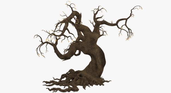 Страшные корни деревьев