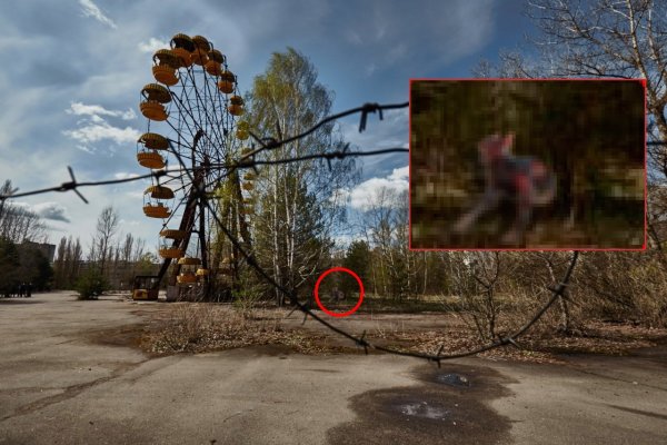 Палочник крипи