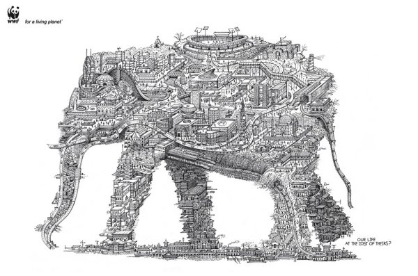 Душан Кртолица