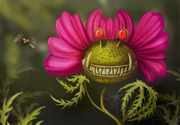 Венерина мухоловка монстр