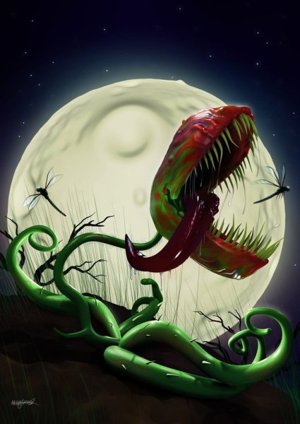 Венерина мухоловка монстр