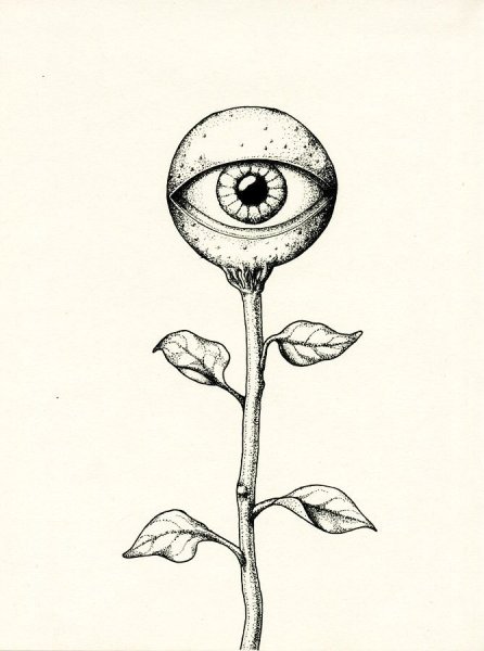 Цветы с глазами