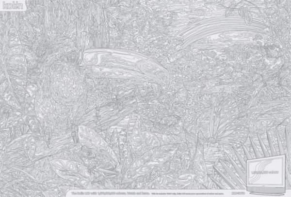 Самые сложные раскраски в мире