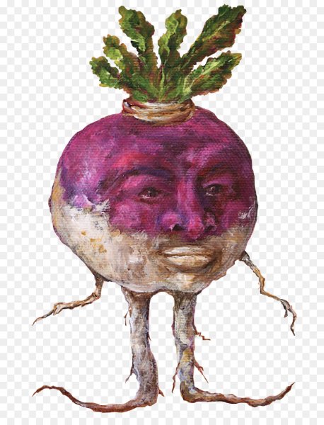 Репа турнепс брюква