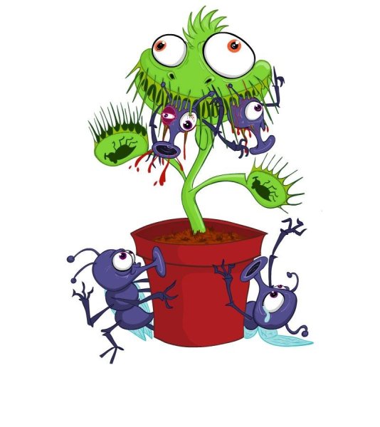 Венерина мухоловка с глазами