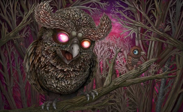 Сова со светящимися глазами