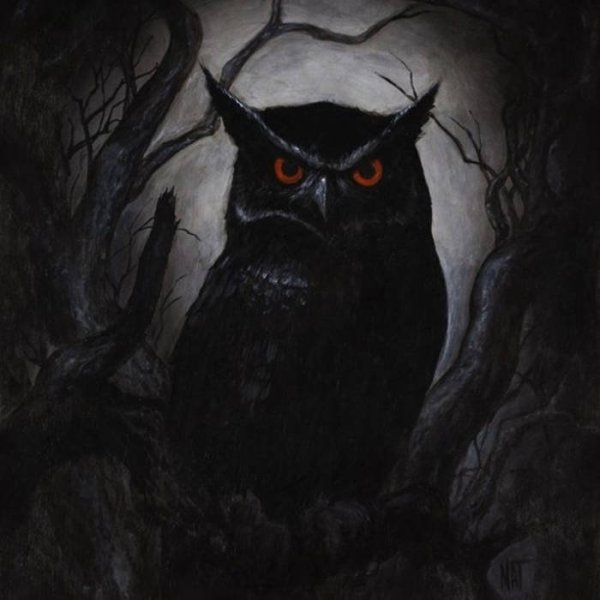 Готическая Сова