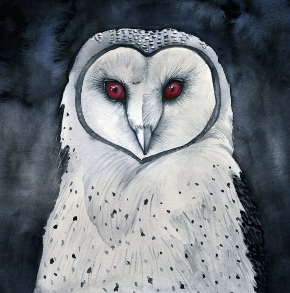 Адская Сова