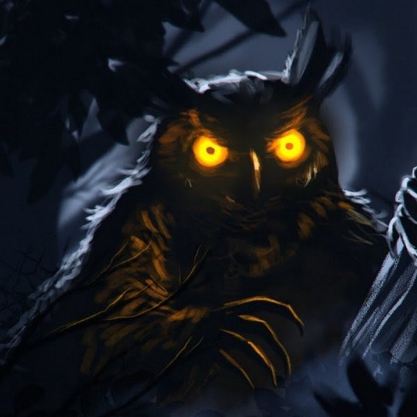 Сова рисунок