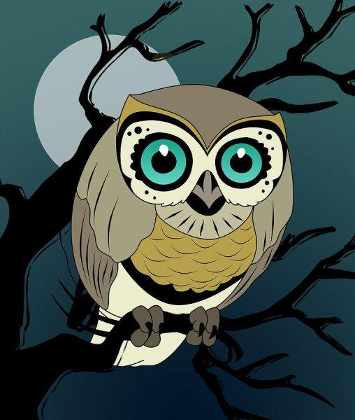 Сова сипуха страшная