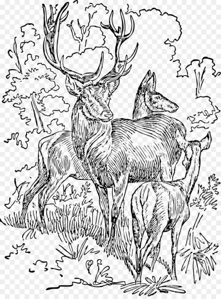 Картинки для выжигания природа