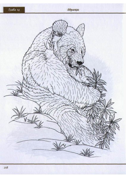 Чертежи для выжигания по дереву