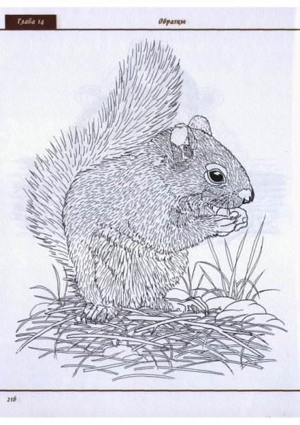 Рисунки для выжигания по дереву средней сложности