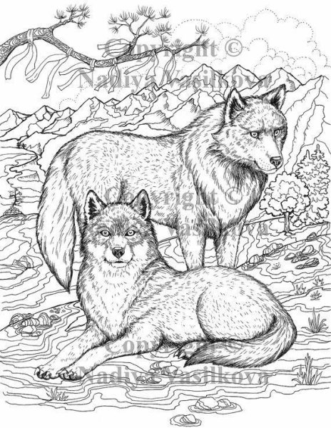Раскраски пейзаж с волками