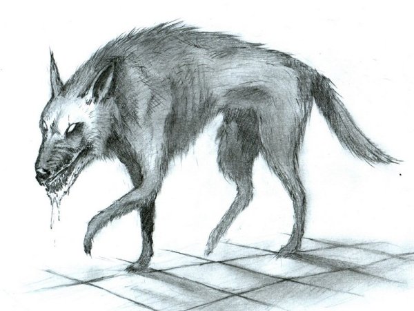 Нарисовать страшную собаку