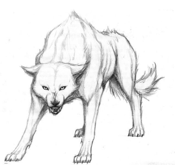 Волк демон аниме крипипаста