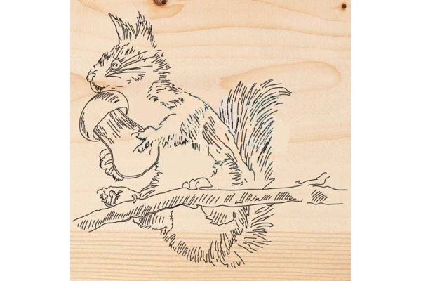 Белка для выжигания