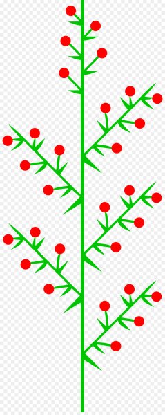 Соцветие метелка