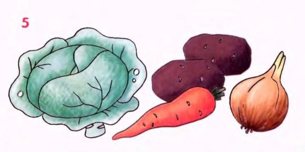 Фрукты для срисовки