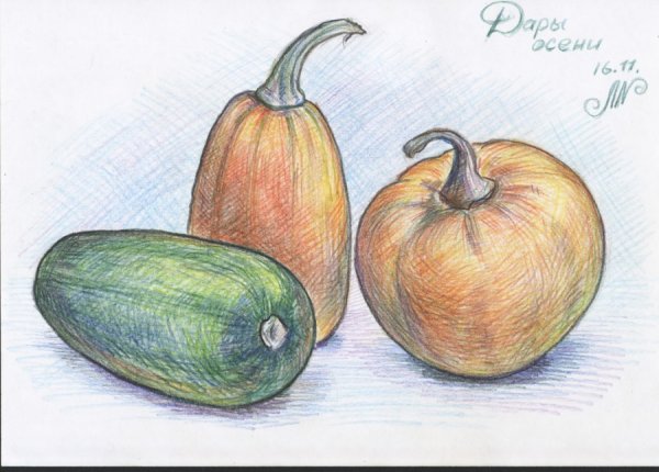 Рисуем овощи