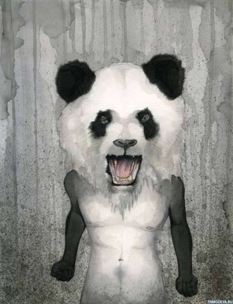 Злая Панда
