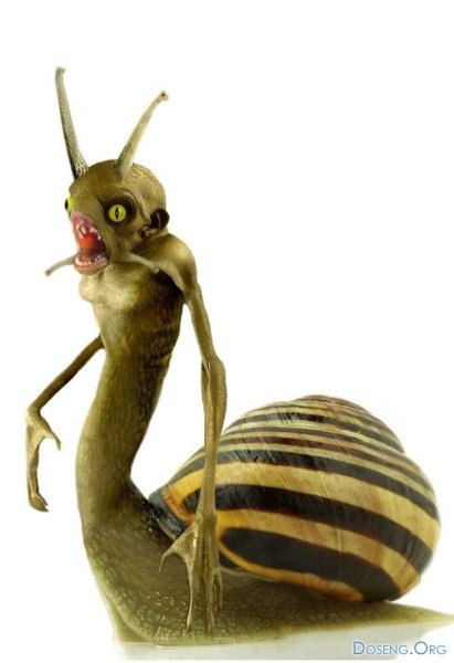 Смешная улитка