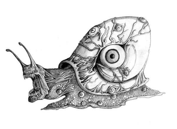 Улитка Графика