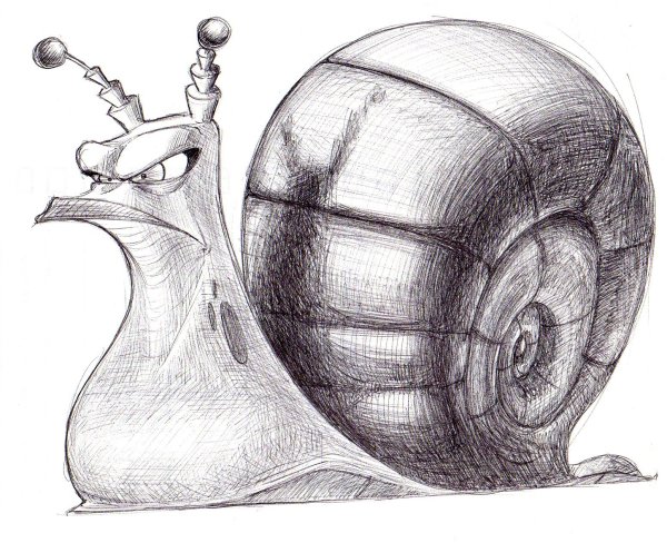 Улитка скетч