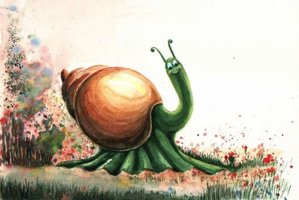 Улитка иллюстрация