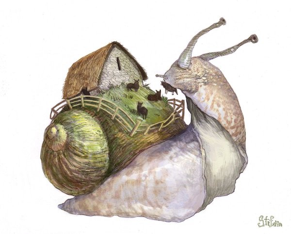 Улитка с домиком на спине