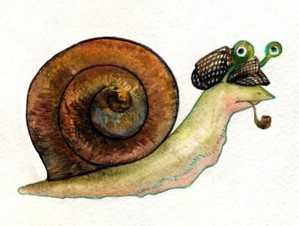 Смешная улитка акварелью