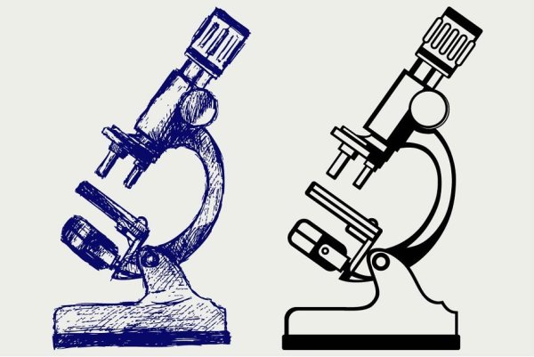 Рисунок микроскопа 5 класс