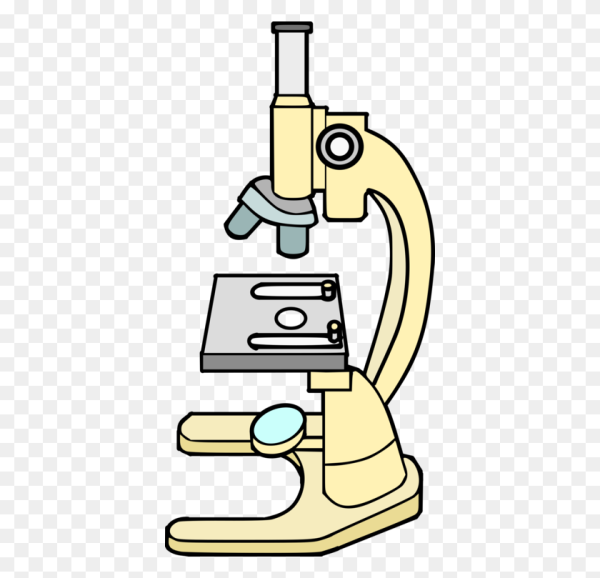 ДНК В микроскопе