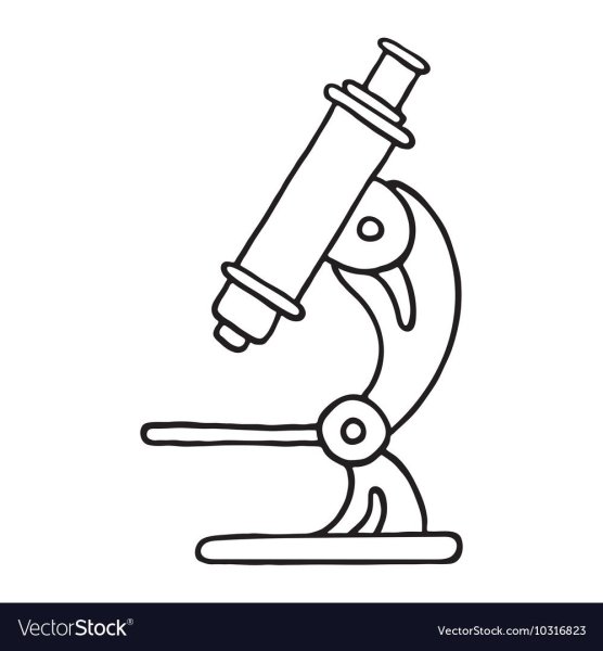 Световой микроскоп рисунок