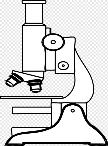 Рисунок микроскопа 5 класс