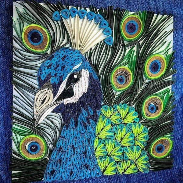 Граттаж Павлин