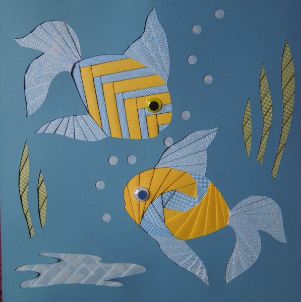 Айрис фолдинг рыбка