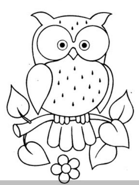 Трафарет Совы для аппликации