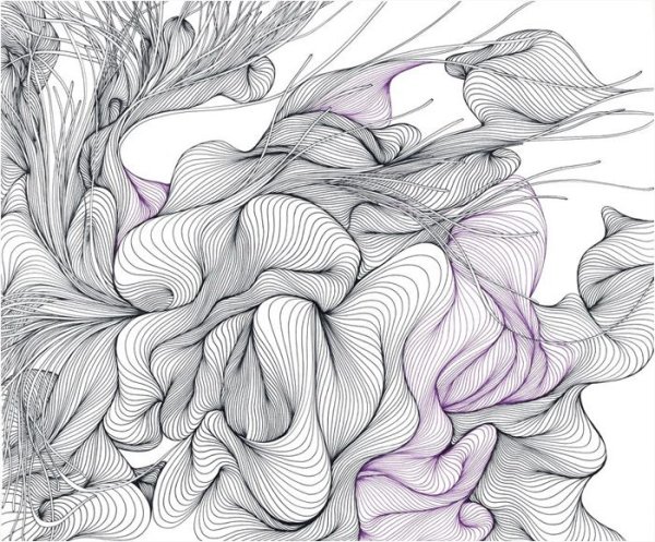 Лебедь карандашом