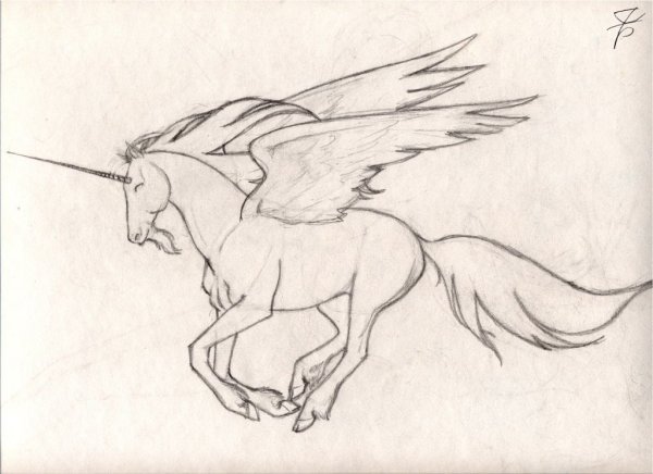 Прически рисунок