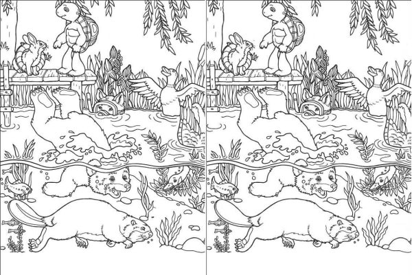 Раскраски по номерам сложные