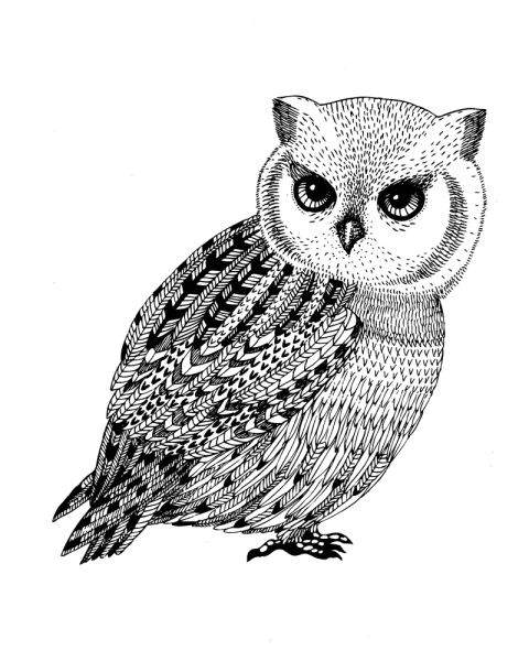 Сова Филин Зентангл Мандала антистресс