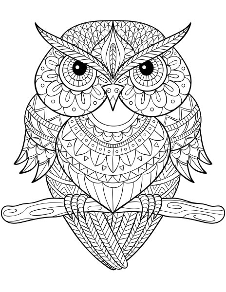 Раскраскиантистрес Совы