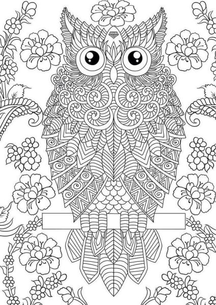 Сова Филин Зентангл Мандала антистресс