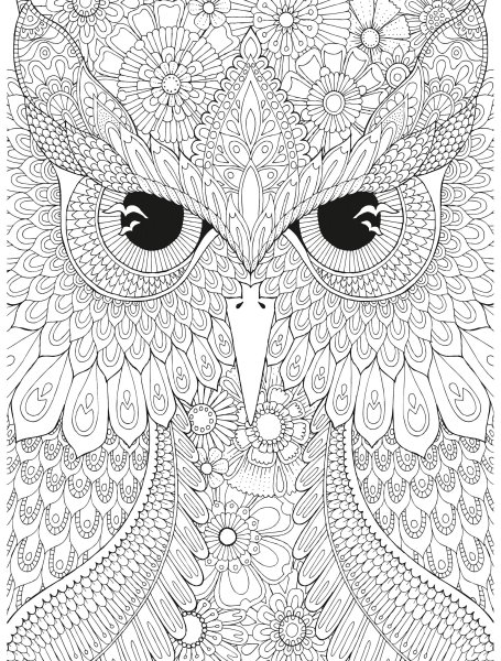 Мандала Сова