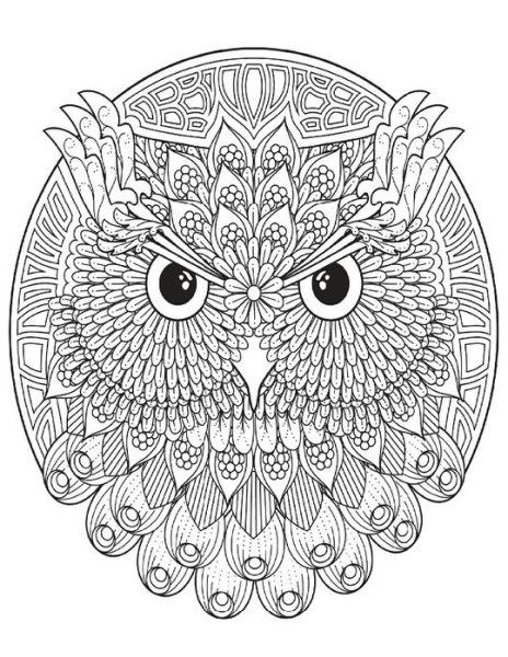 Мандала Сова