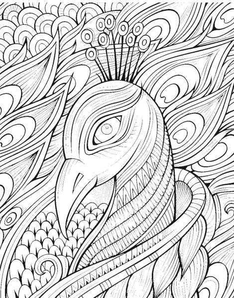 Раскраска антистресс