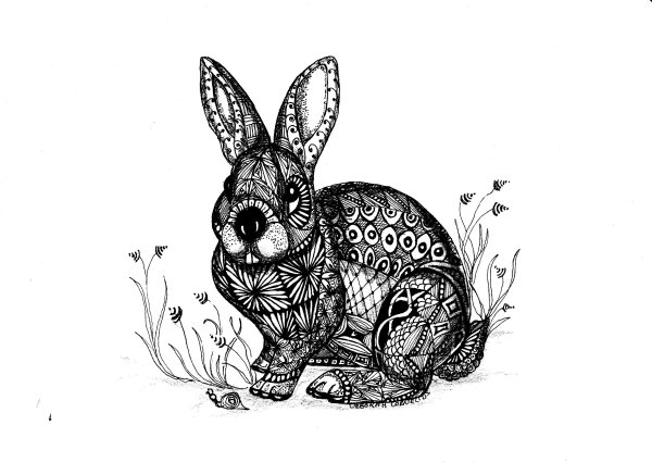 Рисунки для срисовки карандашом сложные и красивые