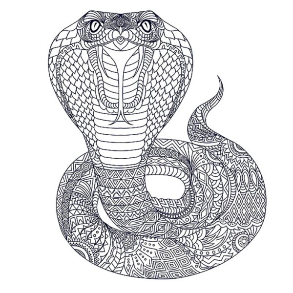 Кобра рисунок карандашом
