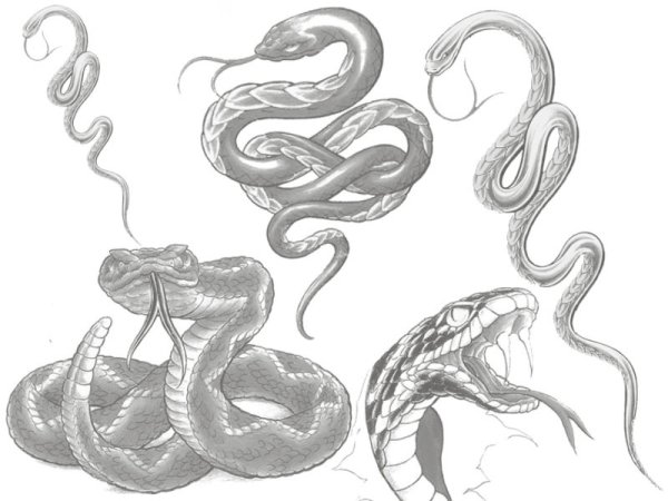 Сложное рисование змею